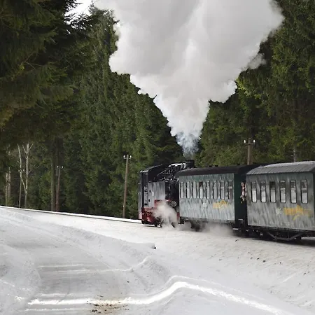 Kohlmeise Сasa de vacaciones Neudorf (Saxony)