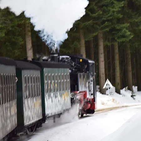 Kohlmeise Сasa de vacaciones