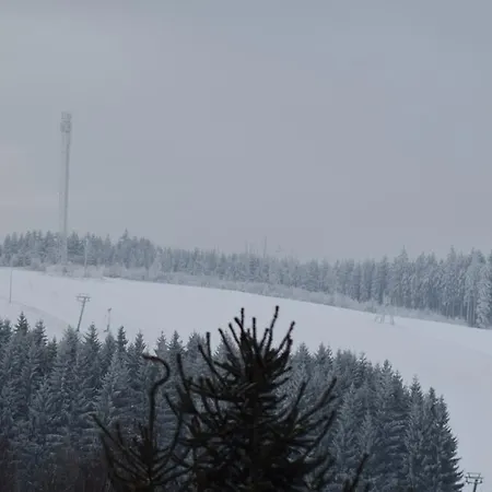 Kohlmeise